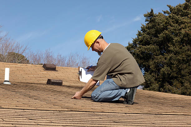 Best Roof Moss and Algae Removal  in Vernon, WI